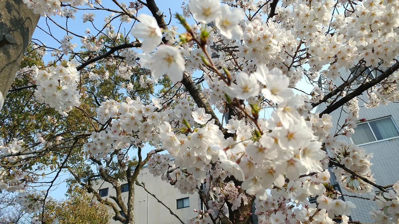 Kyoto-Gion Tourist House Apartment